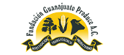 Fundación Guanajuato Produce